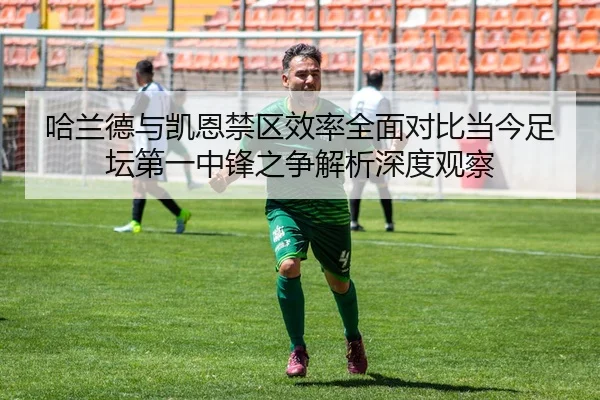 哈兰德与凯恩禁区效率全面对比当今足坛第一中锋之争解析深度观察 | AYX sports app